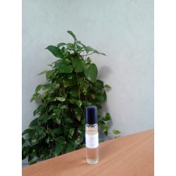 Huile pour Jambes Lourdes Roll-on 15 ml