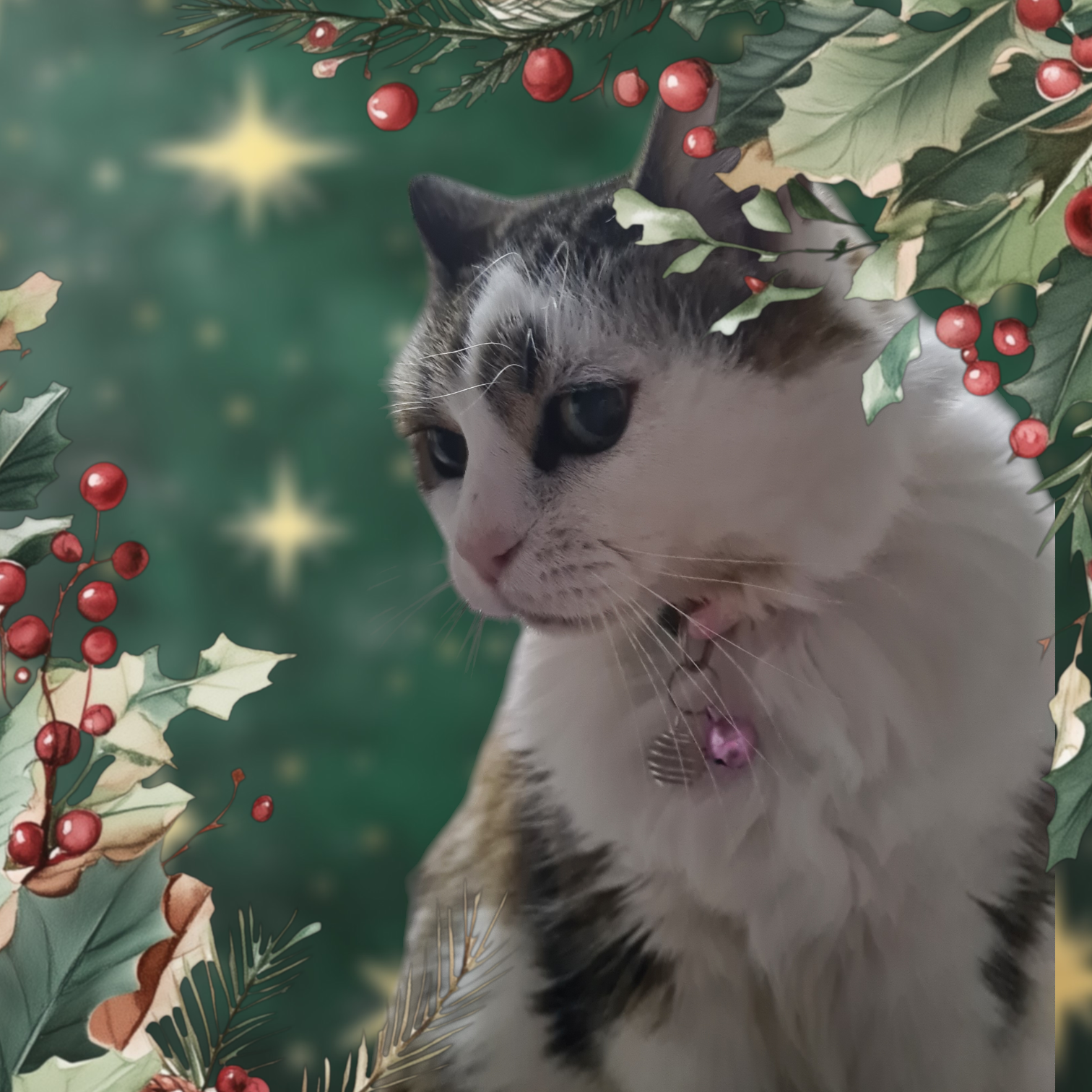 Grosse Spirale avec pierre pour animaux avec pierre au choix